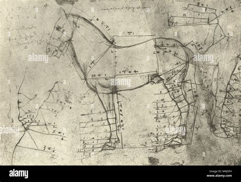 Leonardo da vinci horse hi-res stock photography and images - Alamy