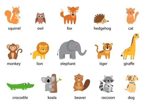 Set of cute cartoon animals with names. Vector illustrations. 2635413 ...