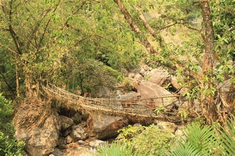 Meghalaya — The Land of Root Bridges and Waterfalls