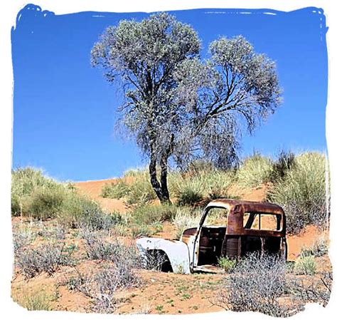 This one didn’t survive - Kalahari Desert Climate in the Kgalagadi Transfrontier National Park