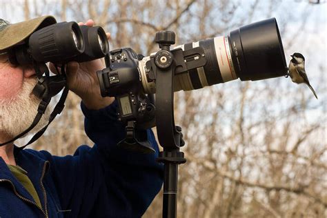 Top 5 Best Camera For Wildlife Photography in 2021 - ForTravelista