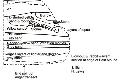 Schematic drawing of the 'rabbit warren section' on the edge of the ...