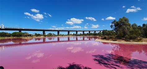 Westgate Park/ Pink lake 粉紅湖 - Melbourne, Australia | Great barrier reef, Tourist attraction ...