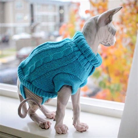 14 Oh-So-Adorable Cat Sweaters to Keep Kitty Warm on Chilly Days and ...