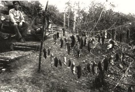 World War I --- Trench Rats (c.1917) [1025x700] : HistoryPorn