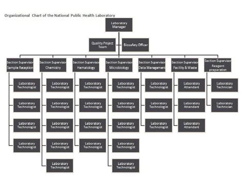 Organizational Chart Template 10 | Organizational chart, Org chart, Organization chart