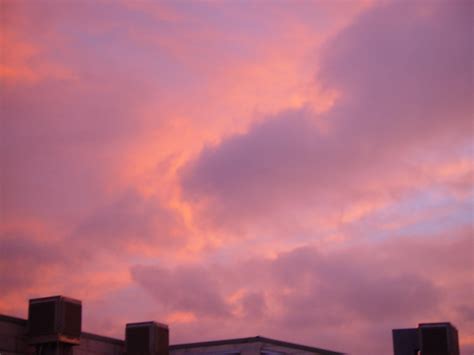 Free picture: pink, clouds, sunset