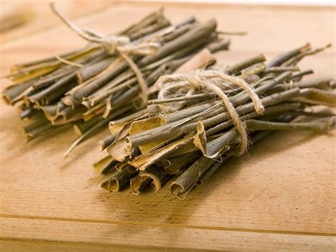 Willow: A Natural Remedy for Pain better than Aspirin?