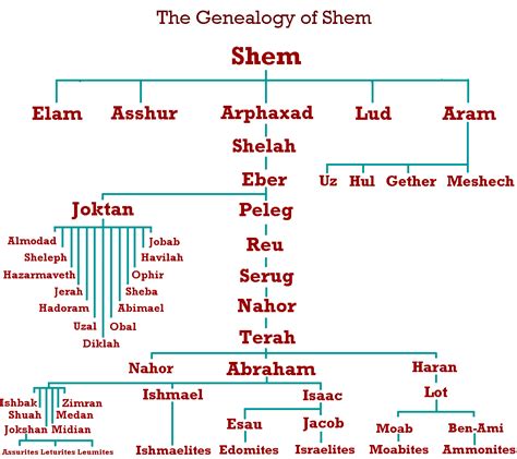 The Genealogy of Shem | Bible facts, Scripture study, Bible knowledge