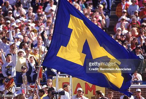 493 University Of Michigan Flag Stock Photos, High-Res Pictures, and ...