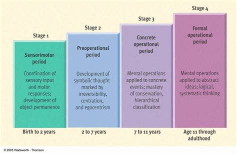 √ 20 Piaget 4 Stages Of Cognitive Development Chart ™ | Dannybarrantes ...