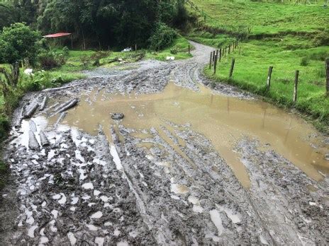 Hiking at Cocora Valley (Colombia) - Nomadic Niko