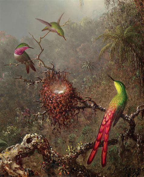 Hummingbirds, 1871 Painting by Martin Johnson Heade - Pixels