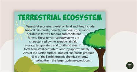 Terrestrial Ecosystems Poster | Teach Starter