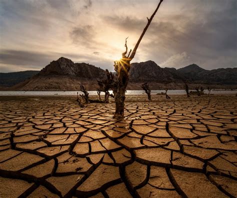 Drought, extreme heat on the cards for South Africa, the Continent ...