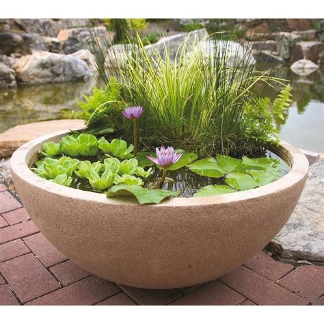 Image result for patio pond | Container water gardens, Ponds for small ...