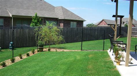 Cat-Proof Fence Guide – Different Options, Effectiveness, & Ideas (2022)