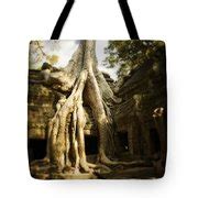 Angkor Wat Cambodia Photograph by Huy Lam - Fine Art America