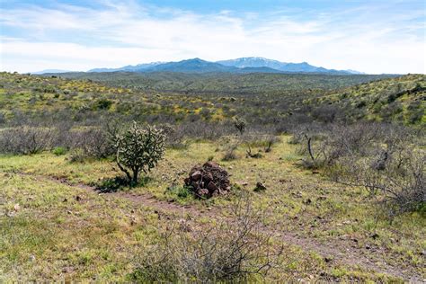 2020 March Santa Catalina Mountains from the Arizona Trail North of ...