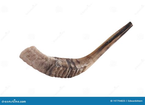 Shofar Horn Isolated on White Stock Image - Image of isolated, hashana ...