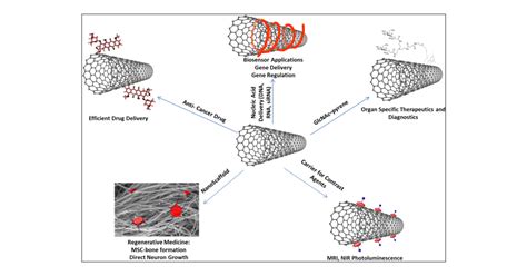 Carbon Nanotubes in Biomedical Applications: Factors, Mechanisms, and Remedies of Toxicity ...