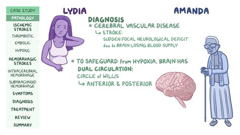 Cerebral vascular disease: Pathology review: Video | Osmosis