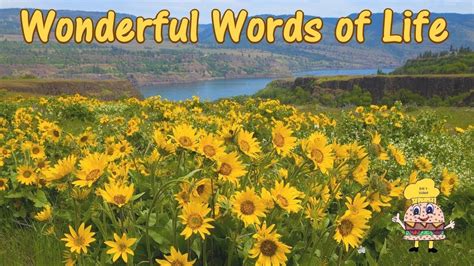 Wonderful Words of Life w lyrics | Wonderful words, Christian songs, Wonder