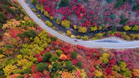 Lower Logan Canyon Fall Colors Drone - YouTube