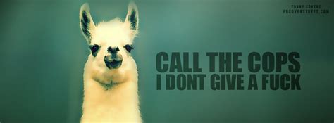 Llama Quotes. QuotesGram