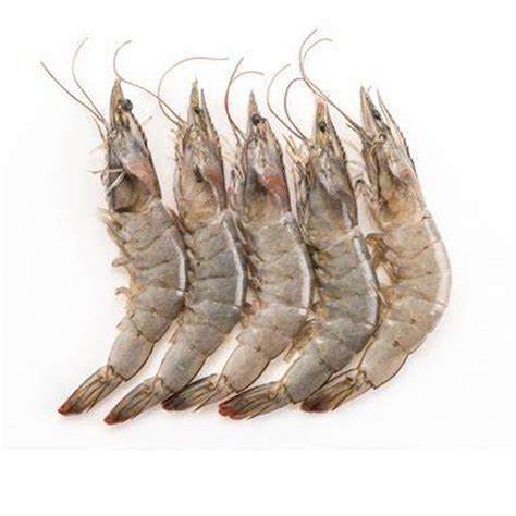 UDANG BESAR – 1KG – MahaBerjaya