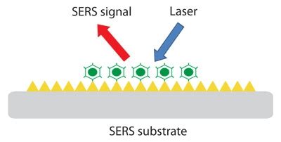 The Development of SERS Substrates for Raman Spectroscopy