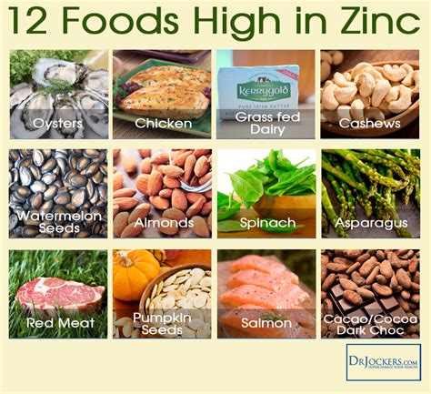 The Essential Role of Zinc in Immune Health - DrJockers.com