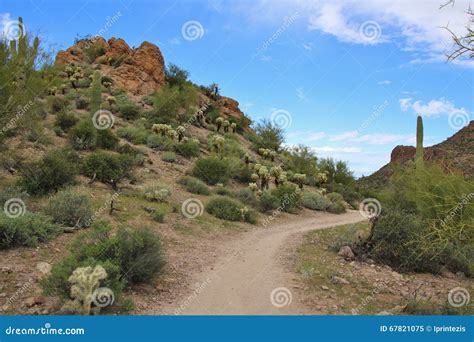 Desert Hiking Trail stock image. Image of cactus, bush - 67821075