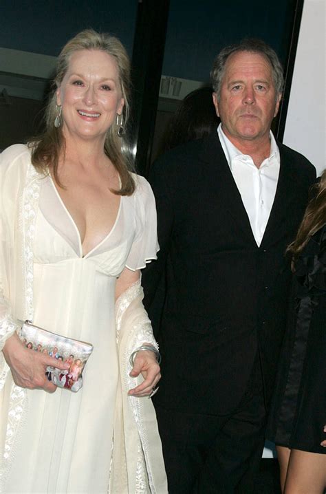 Meryl Streep and her husband Don Gummer have reportedly been separated ...