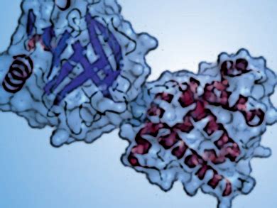 Native Protein Structures in the Gas Phase - ChemistryViews