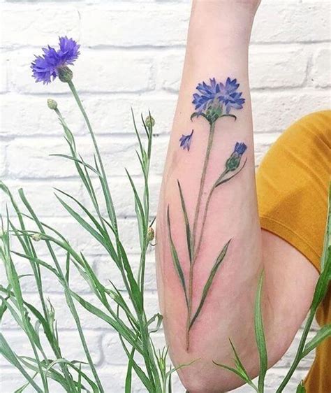 25+ Wonderful Cornflower Tattoo Designs for Men and Women ...