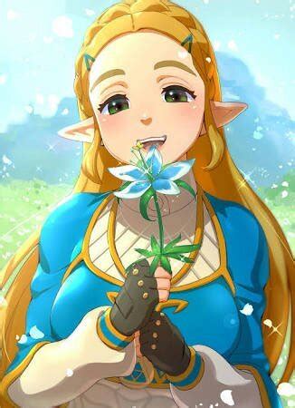 Princesa zelda | Wiki | •Anime• Amino