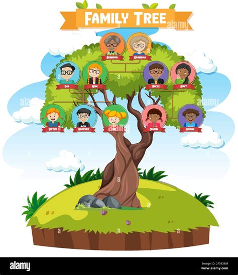 Diagram showing three generation family tree illustration Stock Vector Image & Art - Alamy