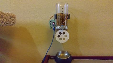 DIY Automated cat feeder - YouTube