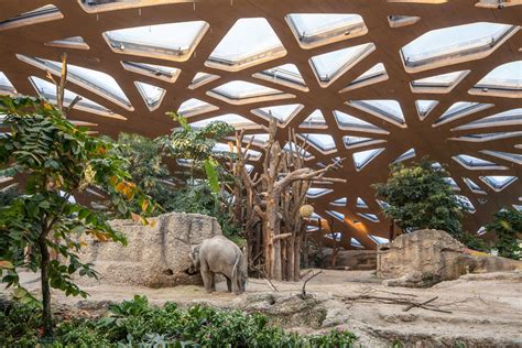 The wooden structure of Elephant House, Zoo Zürich, Fluntern Quarter ...