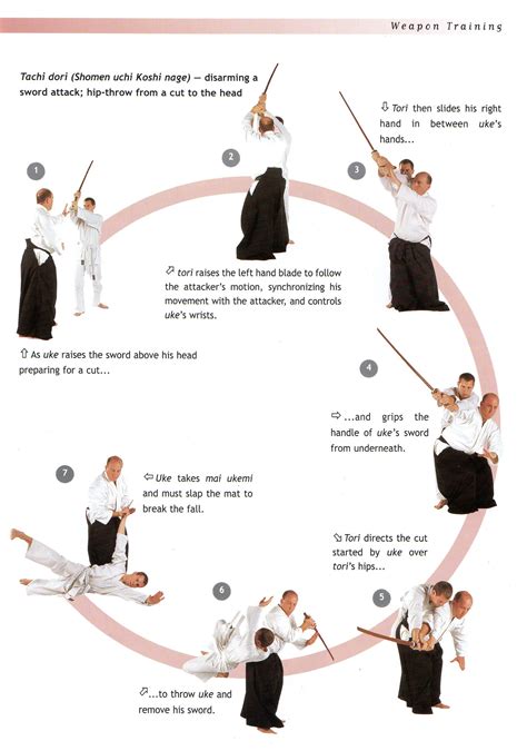 Aikido (defensive martial art) - Japanophilia