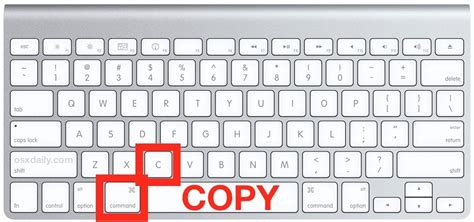 How to copy and paste text | Digital Unite