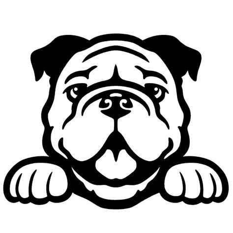 Bulldog Drawing, Bulldog Art, Bulldog Puppies, Bulldog Images, Funny Puppies, Bulldog Clipart ...