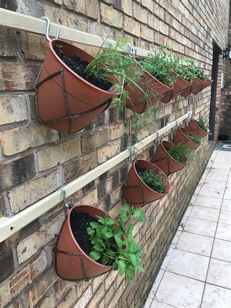 Hanging herb garden | Hanging herb garden, Hanging herbs, Herb garden