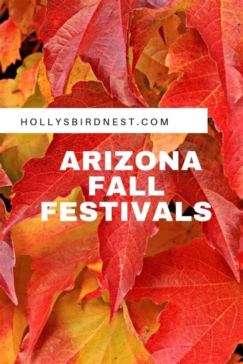 Arizona Fall Festivals | | Holly's Bird Nest | Fall festival, Arizona falls, Festival