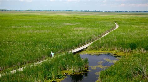 Point Pelee National Park Tours - Book Now | Expedia