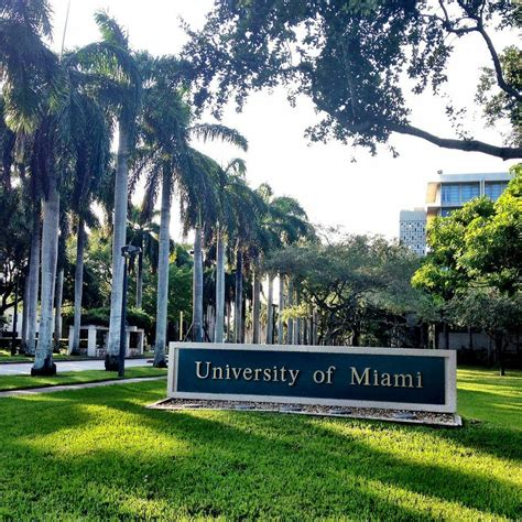 University of Miami - Net Price, Tuition, Cost to Attend, Financial Aid ...