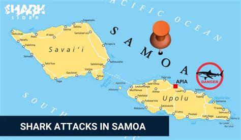 Shark Attacks in Samoa [Updated April 2024]