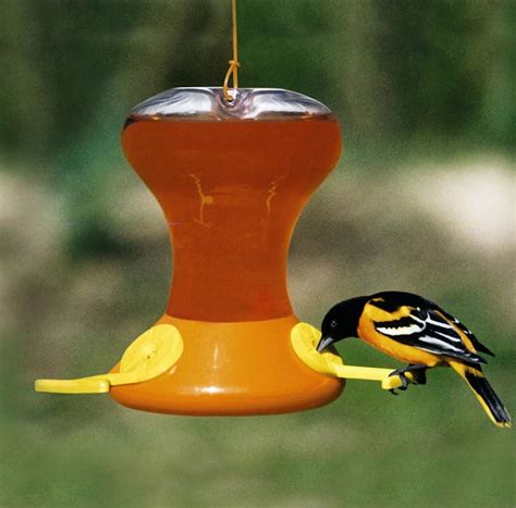 Oriole Bird Feeders Peculiarity | Birdcage Design Ideas