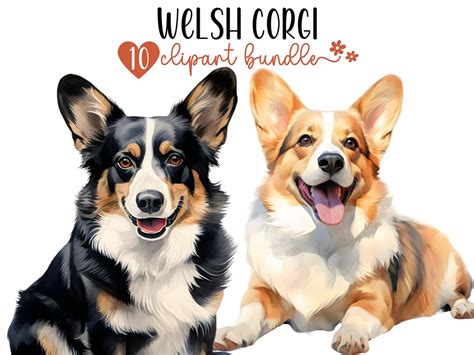 Welsh Corgi Clipart Bundle 10 High-quality PNG Files Digital Planner ...